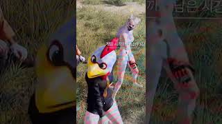 배그돌들     #배틀그라운드 #댄스