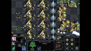 스타크래프트 초고수 팀원을 만나다