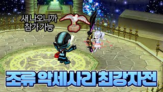 조류 악세사리 최강자전