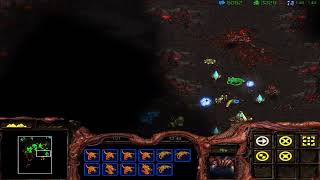 스타크래프트 리마스터 브루드워 6. 폭풍전야