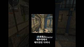 프로방스 에부대에서 에이전진 다이나