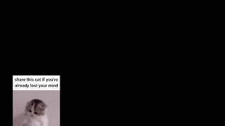 [Elsword INT/엘소드] Weekly Raid 20/08