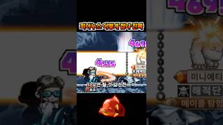 벽 느끼는 나이트로드 | 메이플랜드