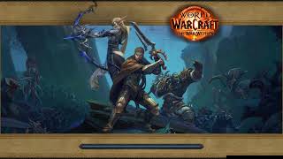 WOW 와우 내부 전쟁 시즌 2 왕왕왕 초보 힐러 쐐기…