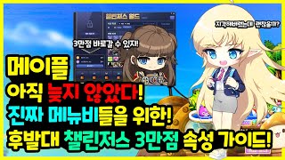 [메이플] 지금도 늦지 않았다?! 진짜 메뉴비들을 위한…