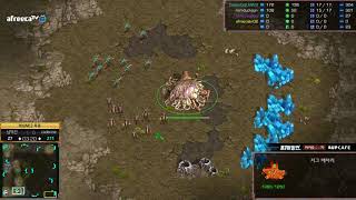 스타크래프트 BJ멸망전 8강 2경기 2라운드 퀸매치 도…