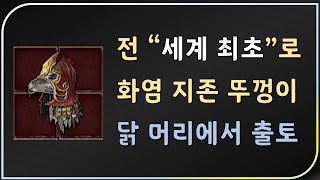 엔드급 화염드루 종결템 나왔습니다 축하드립니다 &quo…