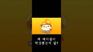 요즘 대세는 메이플이지