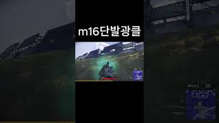 배그 m16 단발광클을 하면 안되는 이유#m16#배틀그라운드#배그 #shorts