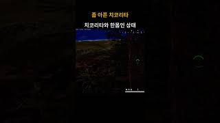 좀 아픈 치코리타  #배틀그라운드 #playerunknownsbattleground #배그