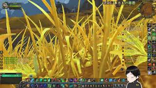 43.(25.08.31) 월드오브워크래프트 판다리아 클래식 만렙(Lv.90)