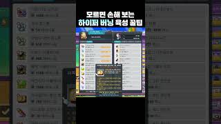 8월 25일 하이퍼 버닝 육성 꿀팁 [메이플]
