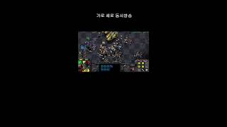 4:4 스타 빨무 라이브 [김해 개초보] starcraft live