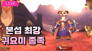 ☆월드오브워크래프트 본섭☆