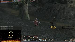 리니지2클래식 크로니클4버젼 해외서버 궁팟구성중 나좀 친다하는 격수분 오세요!