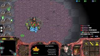 2025.8.4(월) [로카] 빨무 스타크래프트 스타 빠른무한 StarCraft