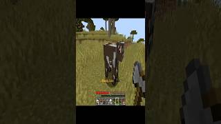 무지개 [마인크래프트]