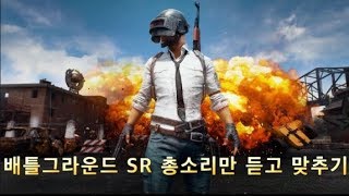 배틀그라운드 총소리만듣고 무슨총인지 맞춰보세요SR