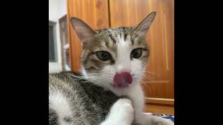 《엘소드/Elsword TW》221測試