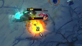 요릭인데 나르 후픽?! [리그 오브 레전드]