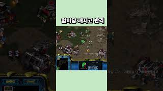 앞마당 깨지고 반격 #스타크래프트 #프로토스 #래더