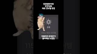 던전앤파이터 주간 태초 갯수별 반응