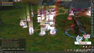 lineage2 리니지2 영웅혈vs그린피스혈 전면전과 …