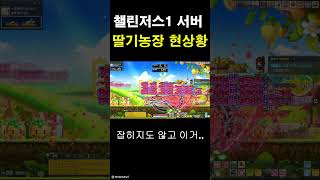 챌린저스1서버 딸기농장 대참사 / 신창섭님 렙업하고 싶…