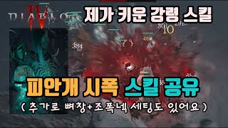 ✨디아블로4 강령술사 피안개 시폭 세팅입니다/뼈창 조폭…