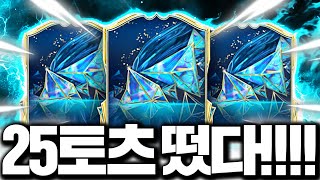 드디어 떴습니다 25토츠 출시!!!