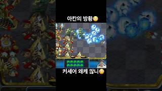 커세어먹고 올킬하는 아칸전구들 #빨무 #스타크래프트 #빠른무한