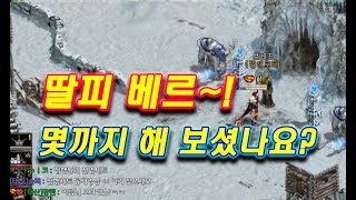 쫄깃쫄깃한 딸피베르 몇피일까 이걸 또 맞춰버린다고 리니지 태산군주 泰山君主 Lineage