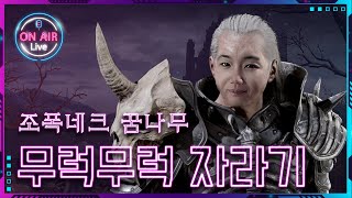 [LIVE] 네크로맨서 첫 솔플 도전ㅣ디아블로2 레저렉…