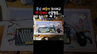 훈남 메숭이 꼬시려고 '렌 장패드'를 선물했습니다...…