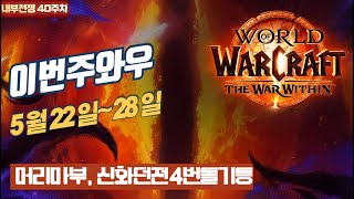 와우 내부전쟁 40주차 이번주와우 프리뷰(머리마부, 다시 찾은 환영등, WoW, 월드오브워크래프트, 신성기사, 2시즌, 쐐기)