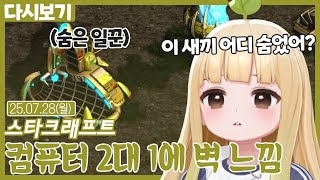 컴퓨터 2대 1에 벽 느낌【스타크래프트】(07.28)