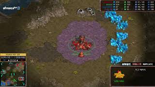 스타크래프트 BJ멸망전 8강 3경기 4라운드 혼성매치 출발다린팀 vs 또조암흑