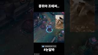 콩쥐야.. 조때써..                   …