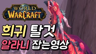 [WOW 월드오브워크래프트] 희귀 탈것 알라니 잡는 영…