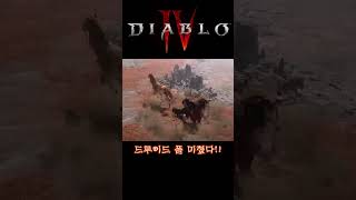 디아블로4 드루이드 트레일러 폼 미쳤다