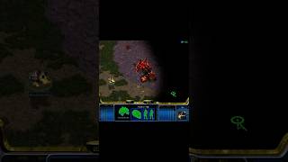 스타크래프트 너무 정찰을 안한 저그