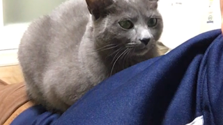 디아블로 송출 테스트 feat보습왕