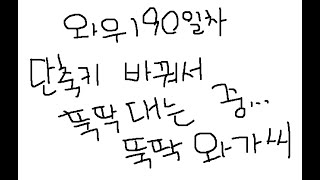 와우 190일차 흑마와가씨_뚝딱용기 아님 뚝딱와가씨~