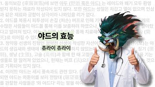 Ep. 34. 얃얃얃. #야드 #쐐기 #러블리쇤네 / 월드오브워크래프트 야드 쐐기