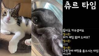 디아블로 4 강령술사, 드루이드 빌드 연구