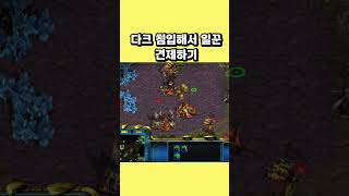 다크 침입해서 일꾼 견제하기 #스타크래프트 #프로토스 #래더 #전략 #다크
