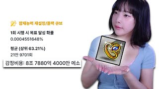 기대값 8조짜리 아이템을 만들었습니다 [메이플스토리]